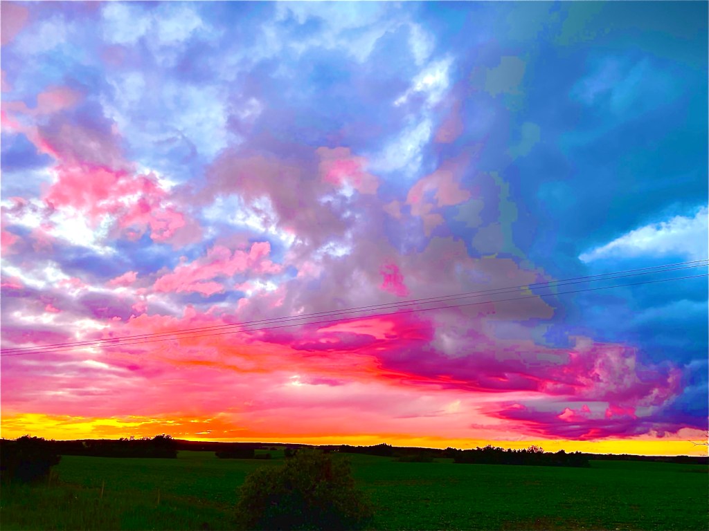 I’ve gone and done it&nbsp;now.